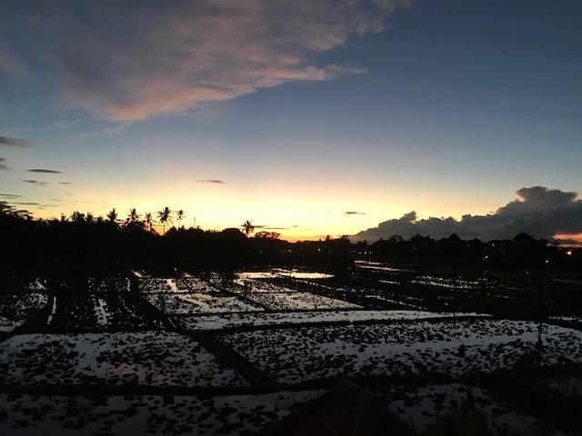 Heavenly View Villa Ubud Exterior foto